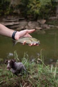 Columbia, TN